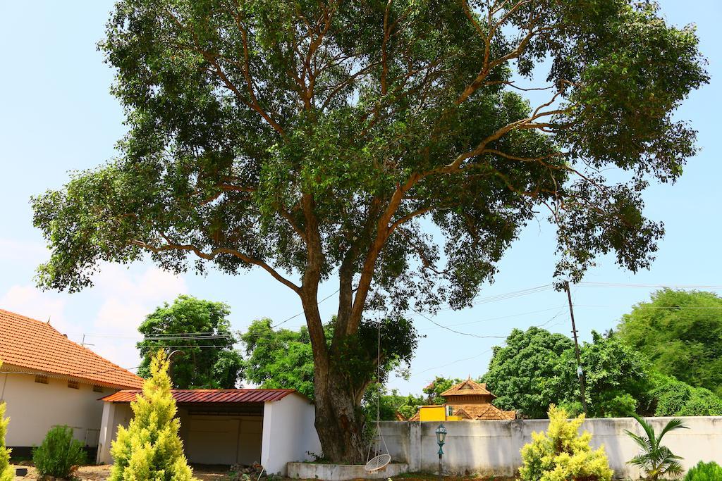 Baywatch Beach Resort Alappuzha ห้อง รูปภาพ