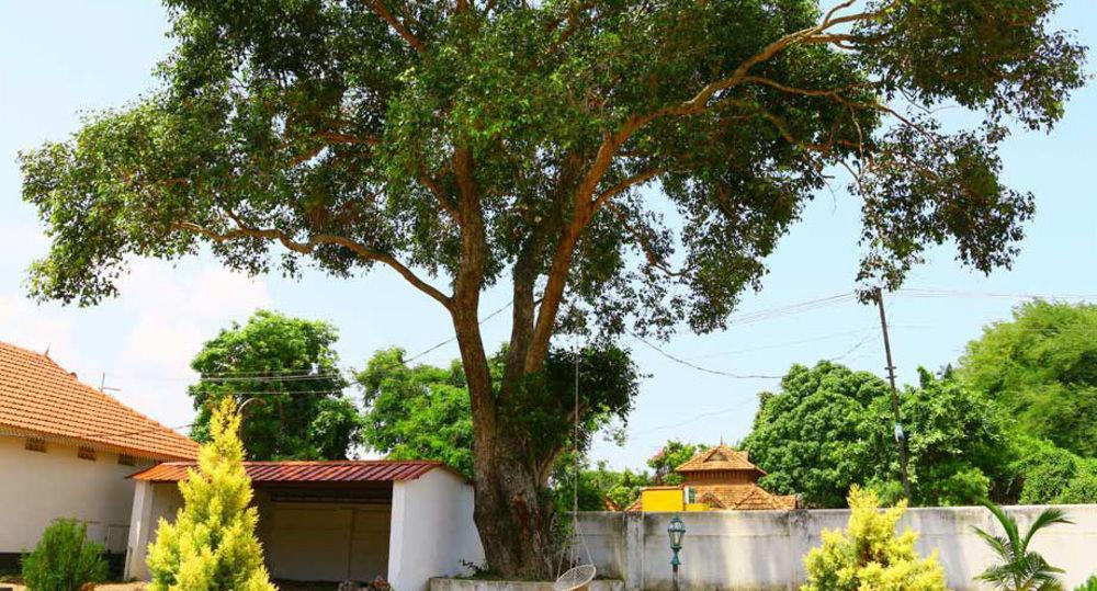 Baywatch Beach Resort Alappuzha ภายนอก รูปภาพ